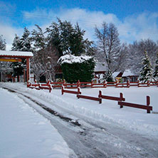 Cabañas Villa La Angostura