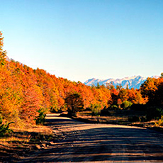 Fotografía Villa La Angostura