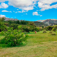 Cabañas   Villa Larca