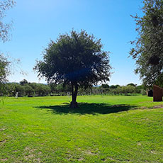 Cabañas   Villa Larca