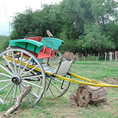 Cabañas  Villa Larca