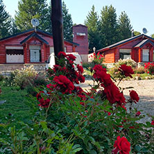 Cabañas Villa Meliquina