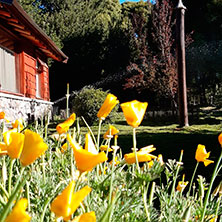 Cabañas Villa Meliquina