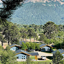 Cabañas Villa Pehuenia