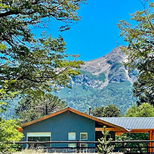 Cabañas Villa Pehuenia