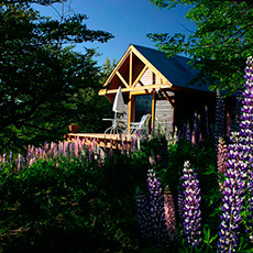 Cabañas Villa Pehuenia