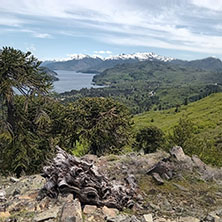 Cabañas Paso de los Andes