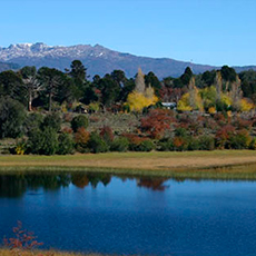 Fotografía Villa Pehuenia