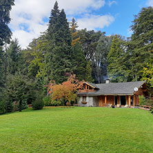 Cabañas Villa Traful