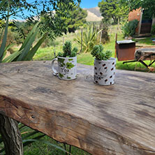 Villa Ventana Cabañas