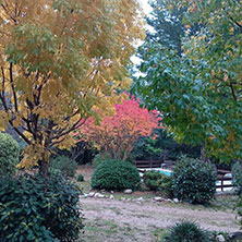 Cabañas Blumenhaus en Villa Ventana