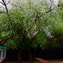 Villa Ventana Cabañas