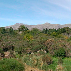 cabañas en Villa Ventana